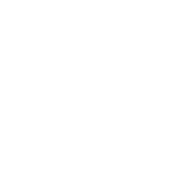 Inception project image